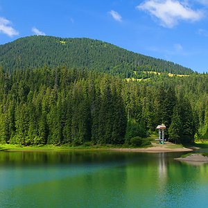 Озеро Синевир серед хвойних лісів Українських Карпат
