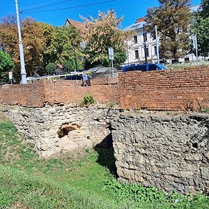Залишки середньовічних оборонних мурів Львова на Підвальній