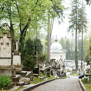 Спокійна брукована алея цвинтаря зі старовинними склепами та кам'яними надгробками серед дерев