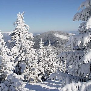 Фото экскурсии Однодневный зимний тур в Буковель и Яремче - 6