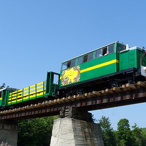 Вузькоколійний потяг, який проїжджає по мосту на фоні безхмарного неба під час екскурсії Карпатами